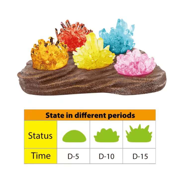 Juego de Ciencia Experimentos con Cristales Stem - Martina Baby & Kids