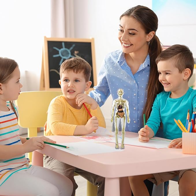 Cuerpo Humano Transparente para Niños: Anatomía en 29 Piezas - Martina Baby & Kids