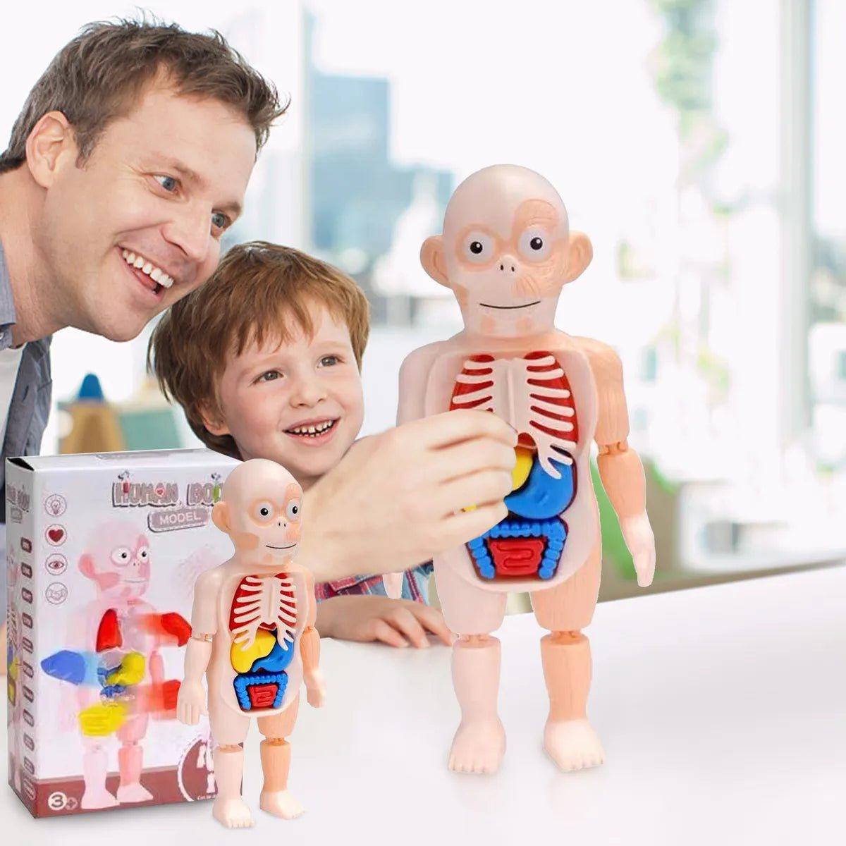 Juguete Cuerpo Humano para Niños Modelo 3D Órgano Humano - Martina Baby & Kids